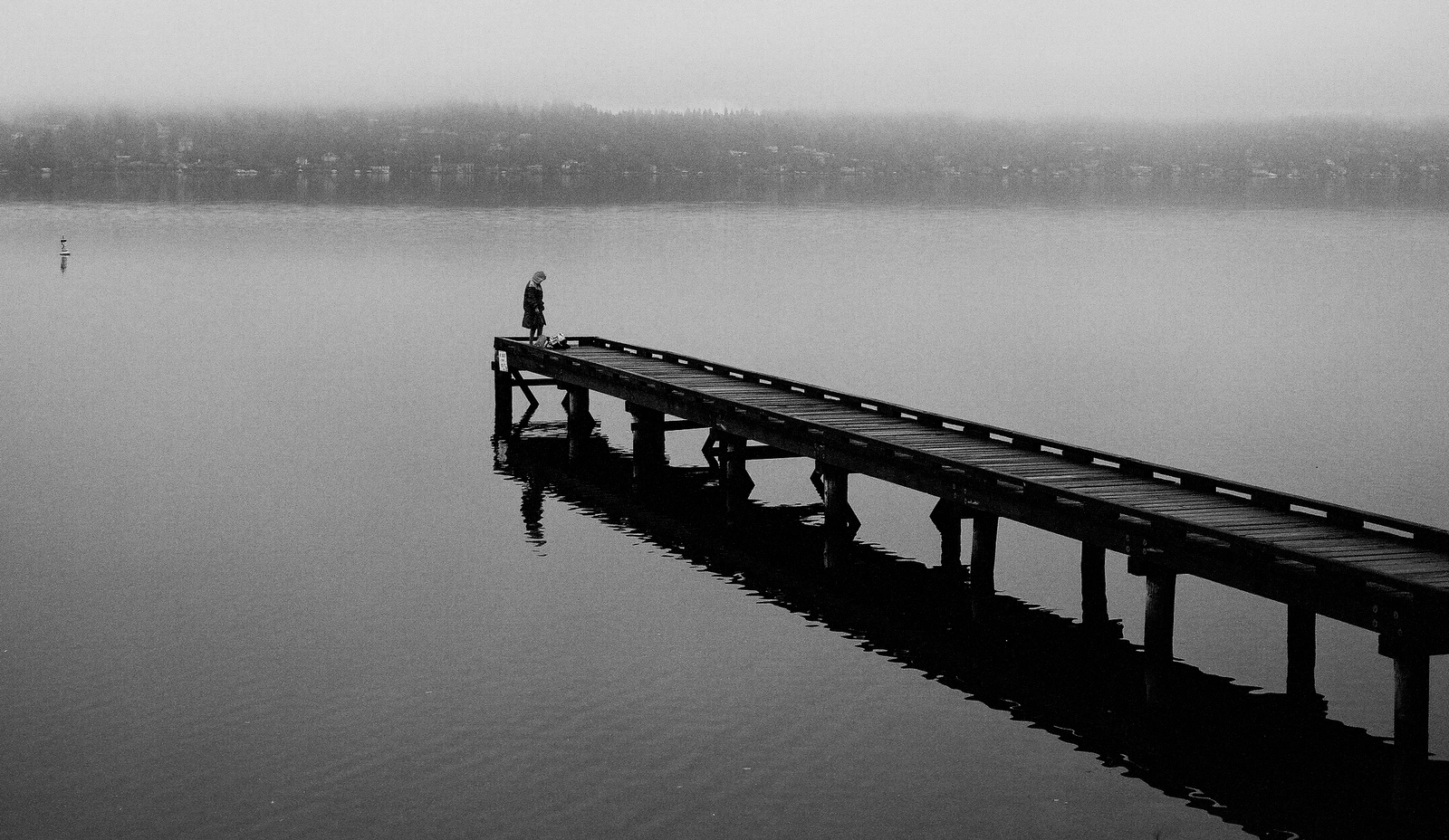 Diver, Seattle, Washington, 2021